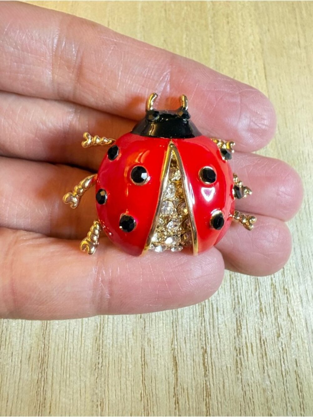 Red and Black Ladybug Brooch with Crystals
